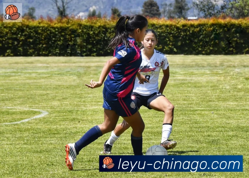 乐鱼leyuAPP 封面图