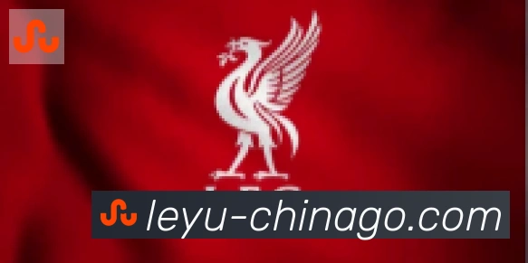 乐鱼leyu合作伙伴